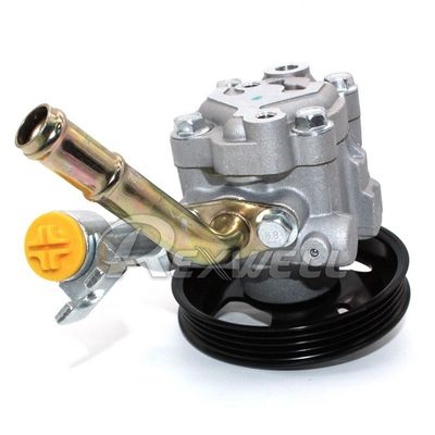 All Power Steering Oil Pump for Nissan Navara D40T D40B YD25 49110-EB700 49110EB700