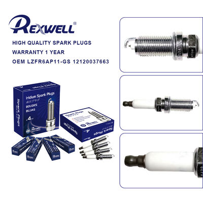 Car Make For BMW  X1 E84 Iridium Spark Plug LZFR6AP11-GS 12120037663